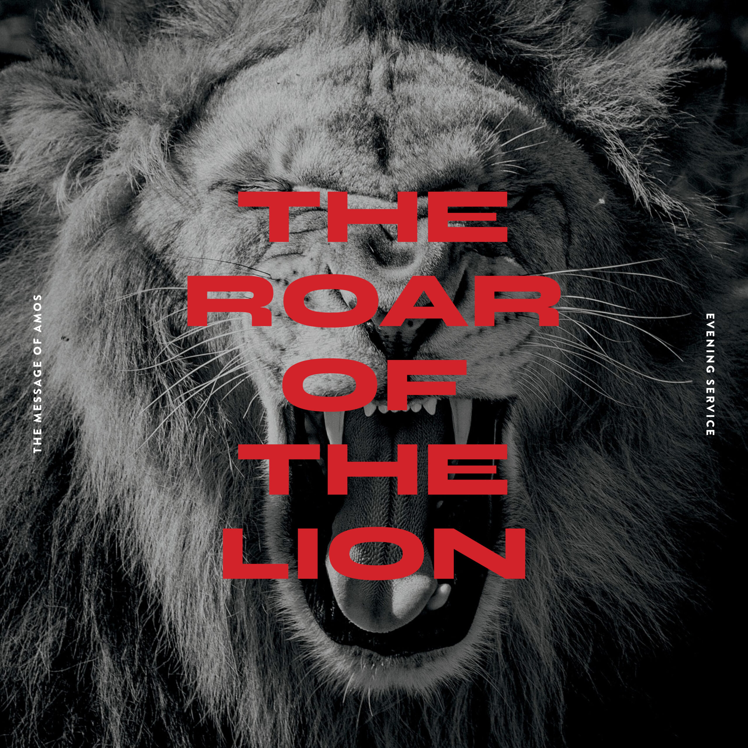 The-roar-of-the-lion-scaled